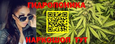 мяу мяу мука Дмитров
