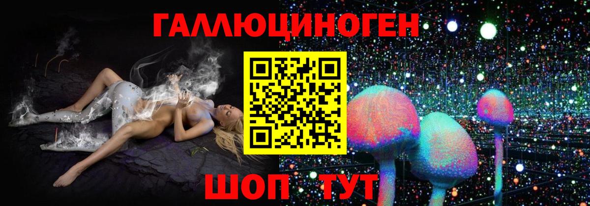 Псилоцибиновые грибы Psilocybe  Вход с VPN  Острогожск 